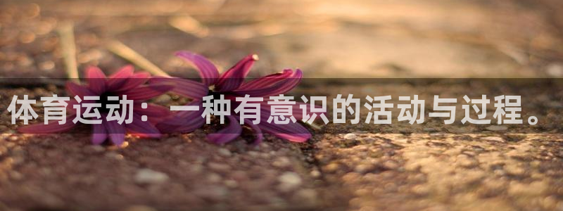 3377体育：体育运动：一种有意识的活动与过程。