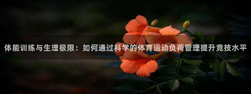 3377体育官方app下载：体能训练与生理极限：如何通过科学的体育运动负荷管理提升竞技水平