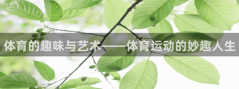 3377体育官网入口下载最新：体育的趣味与艺术——体育运动的妙趣人生