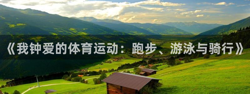 3377体育靠谱吗：《我钟爱的体育运动：跑步、游泳与骑行》