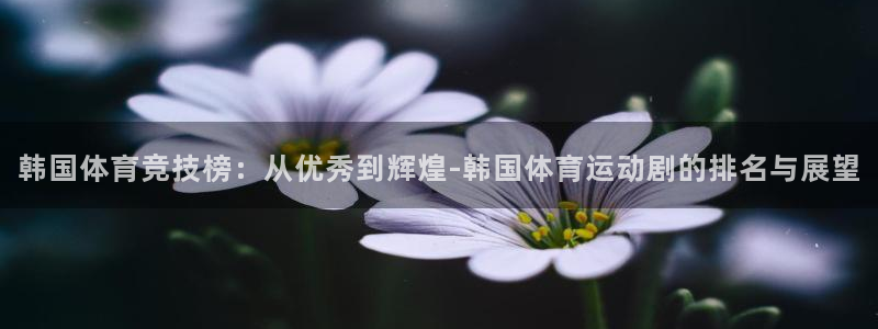 3377体育平台：韩国体育竞技榜：从优秀到辉煌-韩国体育运动剧的排名与展望