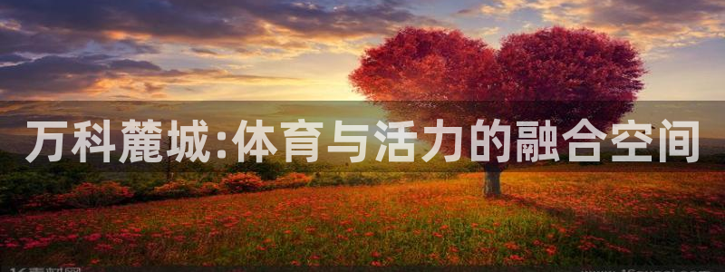 3377体育中国官方网站入口：万科麓城:体育与活力的融合空间
