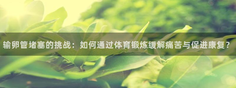 3377体育手机平台