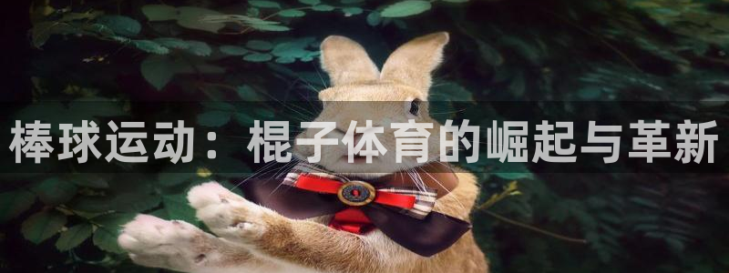 3377体育官网下载：棒球运动：棍子体育的崛起与革新