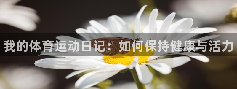 3377体育官网入口下载最新：我的体育运动日记：如何保持健康与活力
