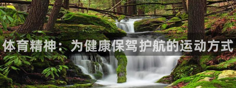 3377体育app下载安装：体育精神：为健康保驾护航的运动方式