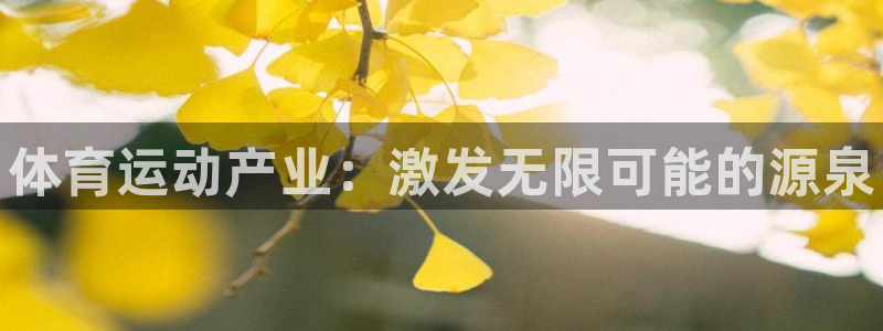 3377体育官网下载：体育运动产业：激发无限可能的源泉