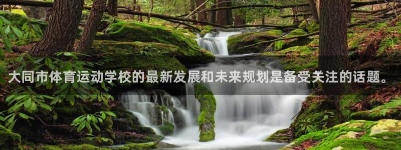 3377体育是正规的吗：大同市体育运动学校的最新发展和未来规划是备受关注的话题。