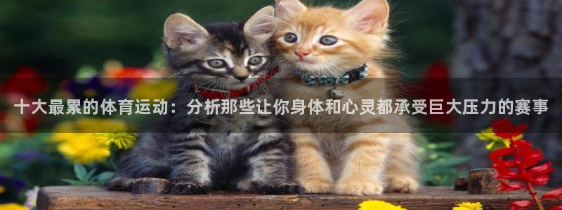 3377体育官网入口网页版：十大最累的体育运动：分析那些让你身体和心灵都承受巨大压力的赛事