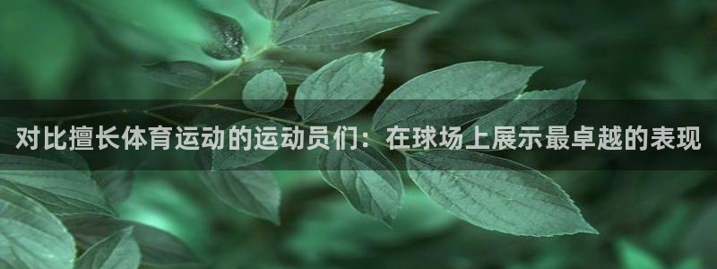 3377体育全网：对比擅长体育运动的运动员们：在球场上展示最卓越的表现