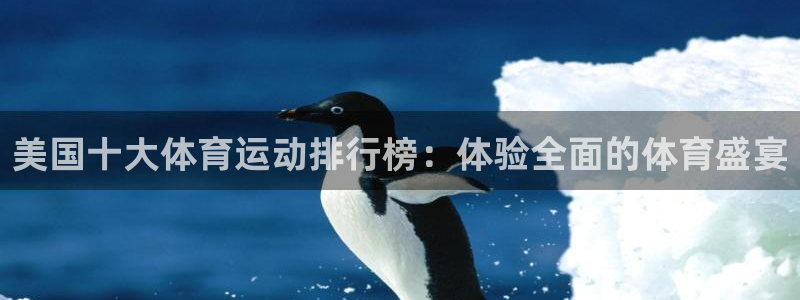 3377体育app下载安装：美国十大体育运动排行榜：体验全面的体育盛宴