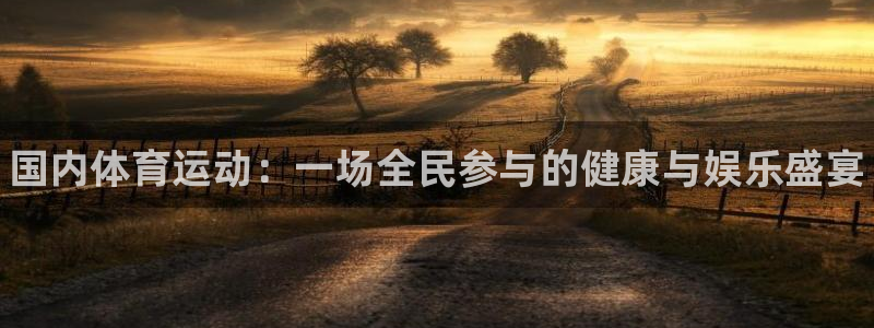 3377体育app官网下载地址：国内体育运动：一场全民参与的健康与娱乐盛宴