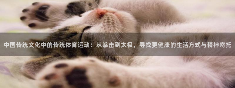 3377体育(中国)官方网站：中国传统文化中的传统体育运动：从拳击到太极，寻找更健康的生活方式与精神寄托