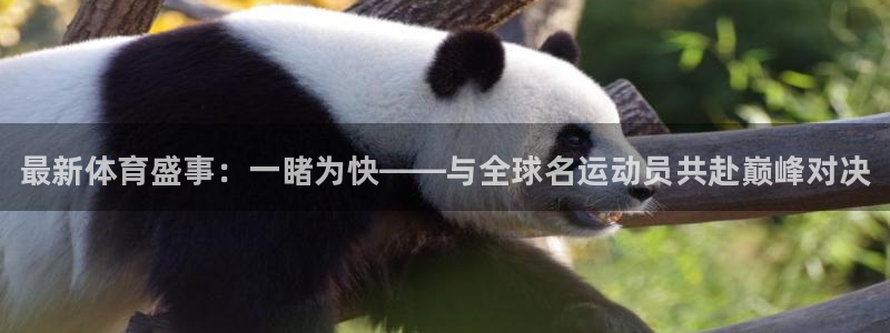 3377体育app官网下载地址：最新体育盛事：一睹为快——与全球名运动员共赴巅峰对决