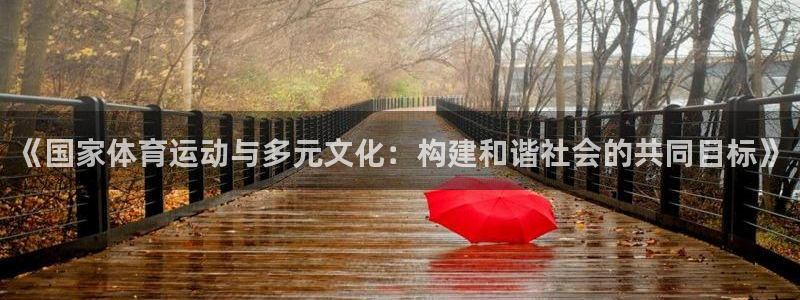 3377体育app官网下载地址：《国家体育运动与多元文化：构建和谐社会的共同目标》