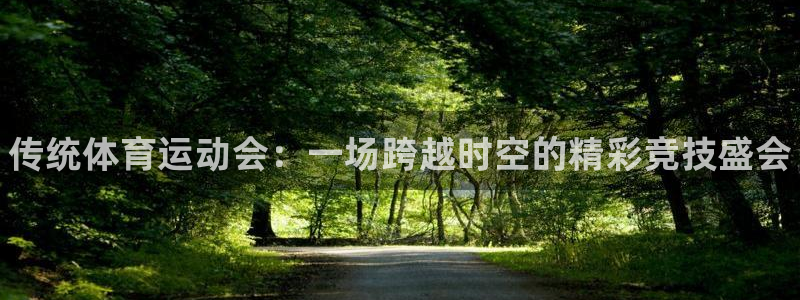 3377体育(中国)官方网站：传统体育运动会：一场跨越时空的精彩竞技盛会