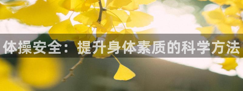 3377体育app官方下载：体操安全：提升身体素质的科学方法