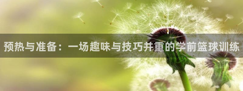 3377体育官方app下载：预热与准备：一场趣味与技巧并重的学前篮球训练