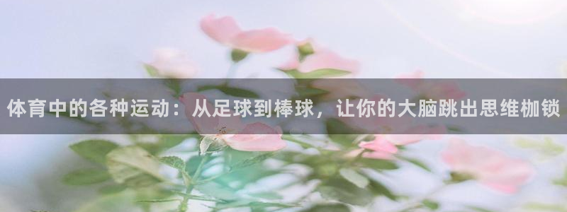 3377体育com：体育中的各种运动：从足球到棒球，让你的大脑跳出思维枷锁