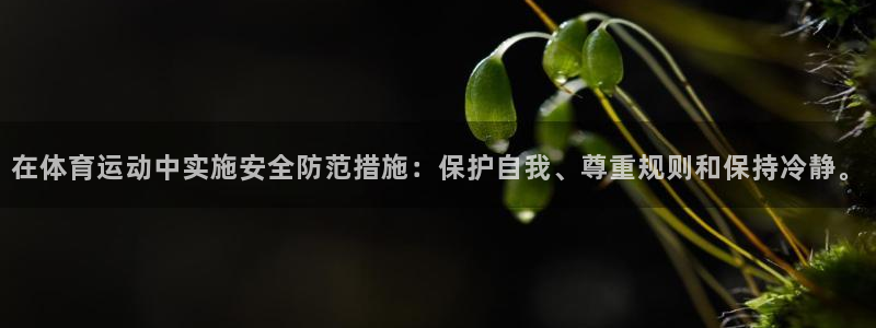 3377体育官网下载：在体育运动中实施安全防范措施：保护自我、尊重规则和保持冷静。
