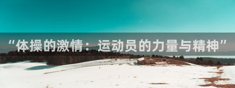3377体育官网下载：“体操的激情：运动员的力量与精神”