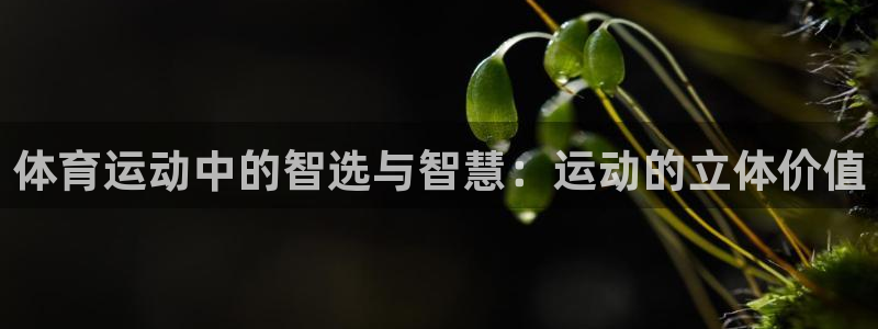 3377体育中国官方网站入口：体育运动中的智选与智慧：运动的立体价值