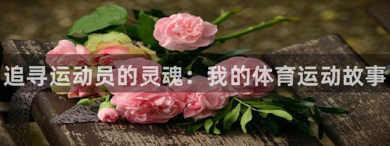 3377体育官网入口下载最新：追寻运动员的灵魂：我的体育运动故事