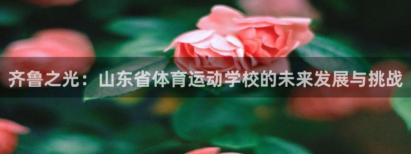 3377体育全网：齐鲁之光：山东省体育运动学校的未来发展与挑战