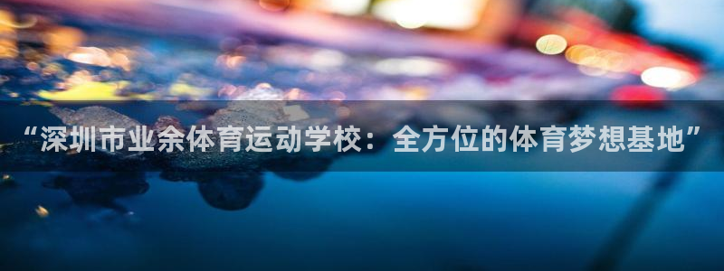 3377体育app官网下载地址：“深圳市业余体育运动学校：全方位的体育梦想基地”