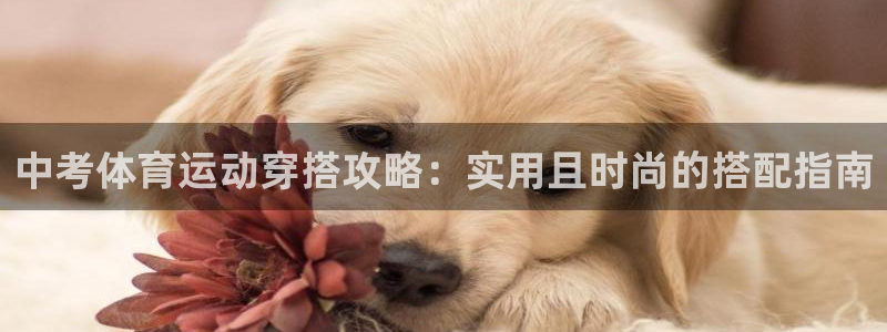 3377体育靠谱吗：中考体育运动穿搭攻略：实用且时尚的搭配指南