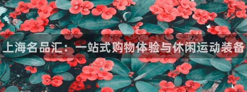 3377体育中国官方网站入口：上海名品汇：一站式购物体验与休闲运动装备