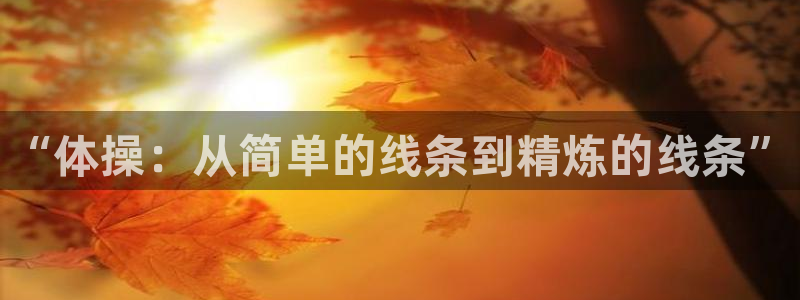 3377体育靠谱吗：“体操：从简单的线条到精炼的线条”
