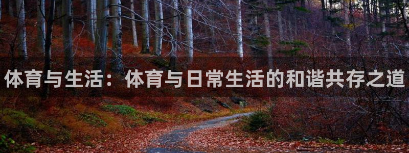 3377体育app官网下载地址：体育与生活：体育与日常生活的和谐共存之道