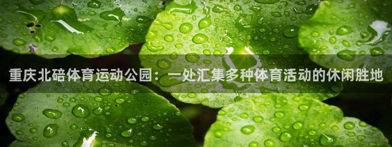 3377体育是正规平台吗：重庆北碚体育运动公园：一处汇集多种体育活动的休闲胜地