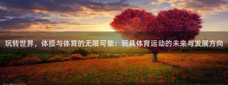 3377体育全网：玩转世界，体操与体育的无限可能：玩具体育运动的未来与发展方向