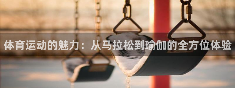 3377体育app下载安装：体育运动的魅力：从马拉松到瑜伽的全方位体验